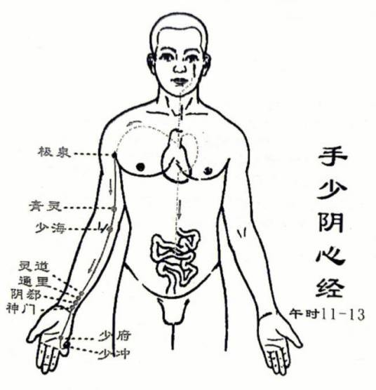 心经(人体经络名称)