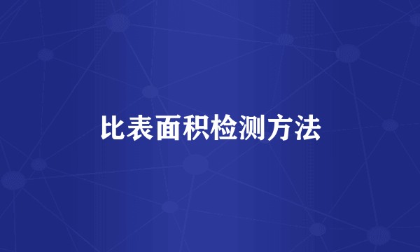 比表面积检测方法