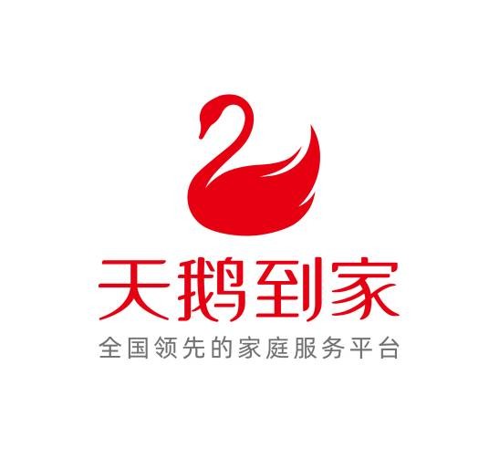 天鹅到家