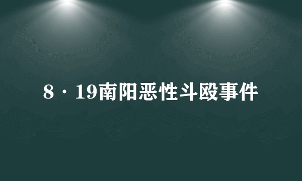 8·19南阳恶性斗殴事件