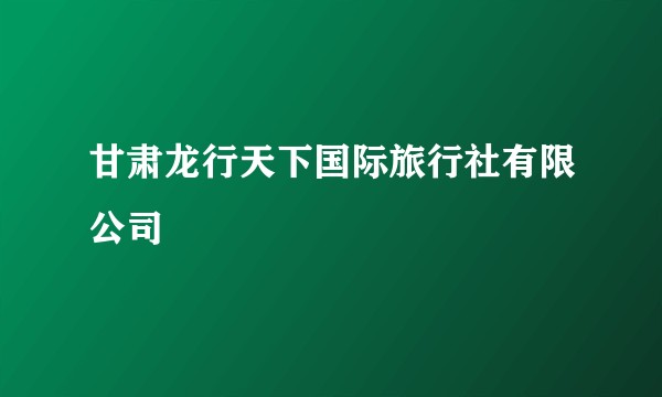 甘肃龙行天下国际旅行社有限公司