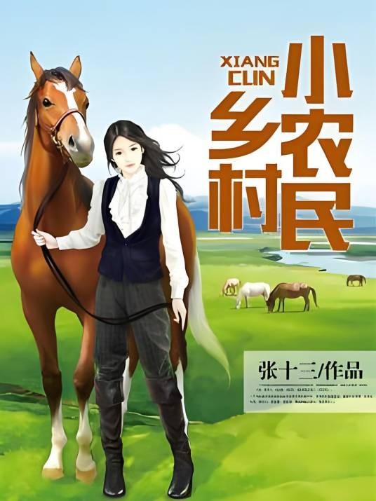 乡村小农民(张十三创作的网络小说)