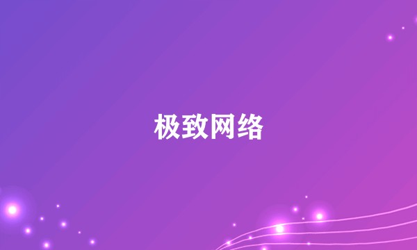 极致网络