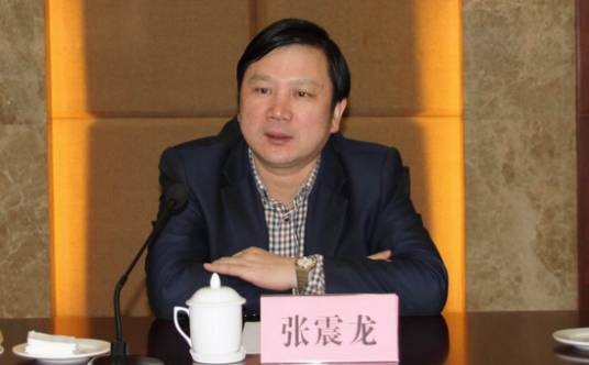 张震龙(湖北省科学技术厅原副厅长、党组成员)