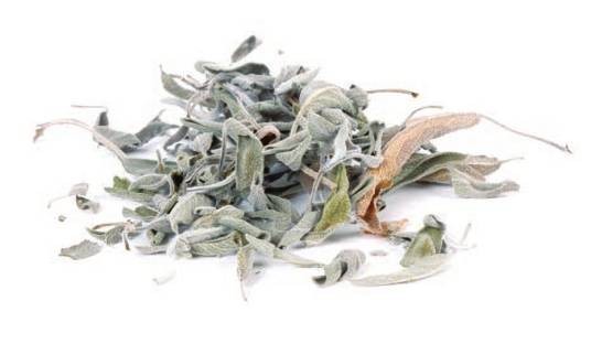 鼠尾草（中药）