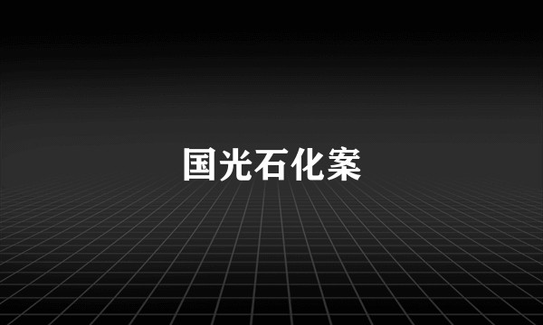 国光石化案
