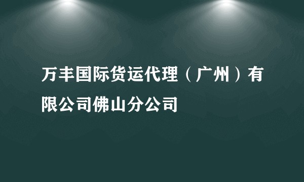 万丰国际货运代理（广州）有限公司佛山分公司