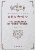公共选择（公共管理学术语）