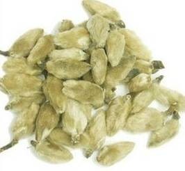 玉兰（汉语词语）