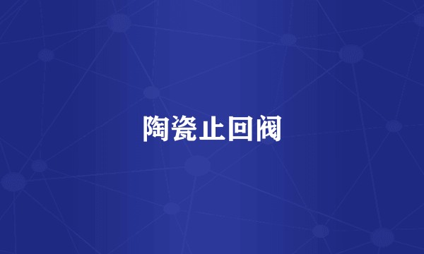 陶瓷止回阀