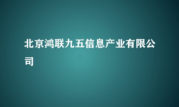 北京鸿联九五信息产业有限公司