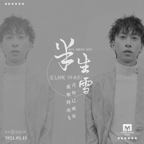 半生雪（七叔（叶泽浩）演唱的歌曲）
