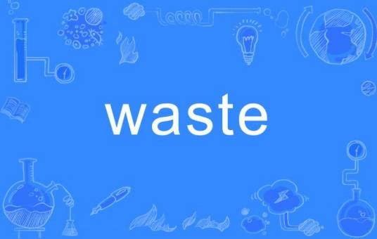 waste（英语单词）