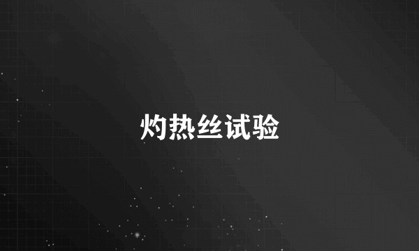 灼热丝试验