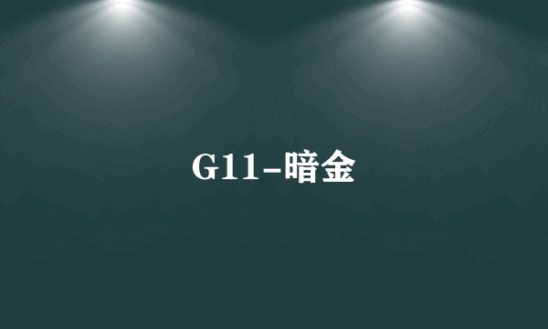 G11-暗金
