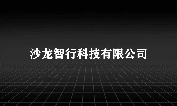 沙龙智行科技有限公司