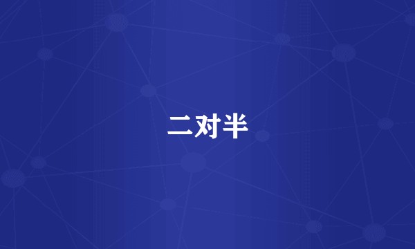 二对半