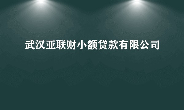 武汉亚联财小额贷款有限公司