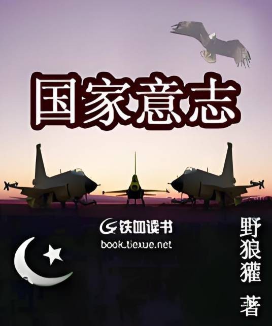 国家意志(野狼獾创作的网络小说)
