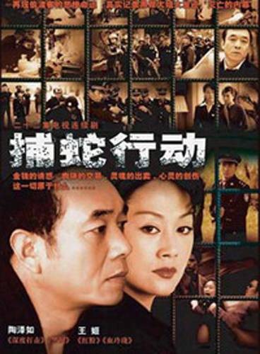 捕蛇行动（2005年谷锦云执导的电视剧）