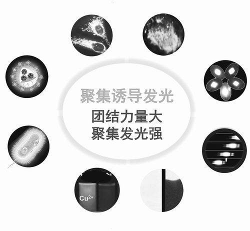 光学诱导
