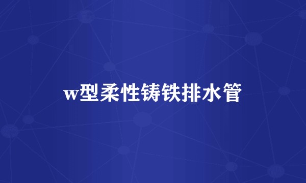 w型柔性铸铁排水管