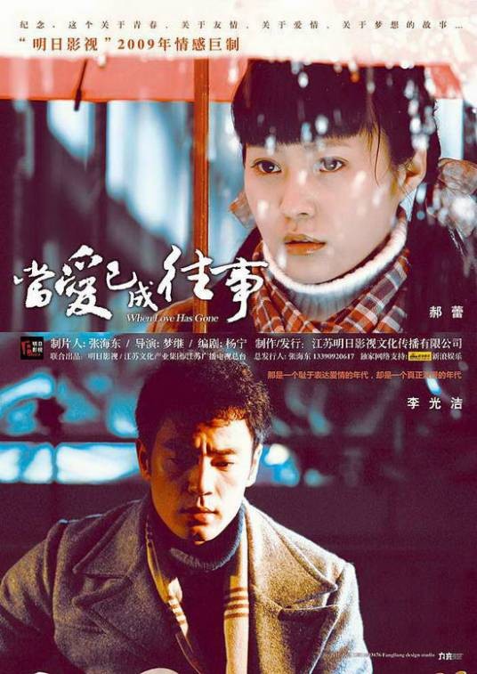 当爱已成往事（2009年梦继执导电视剧）