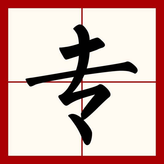 专
