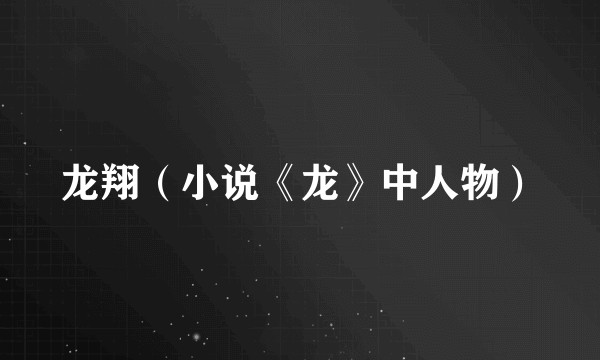 龙翔（小说《龙》中人物）