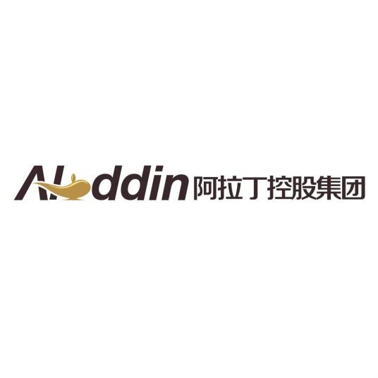 阿拉丁控股集团有限公司