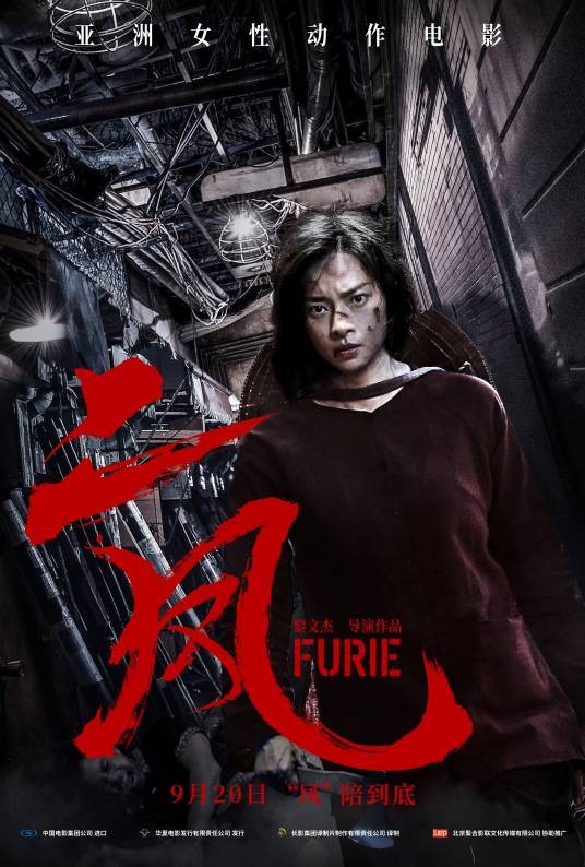二凤(越南2019年黎文杰执导的动作电影)