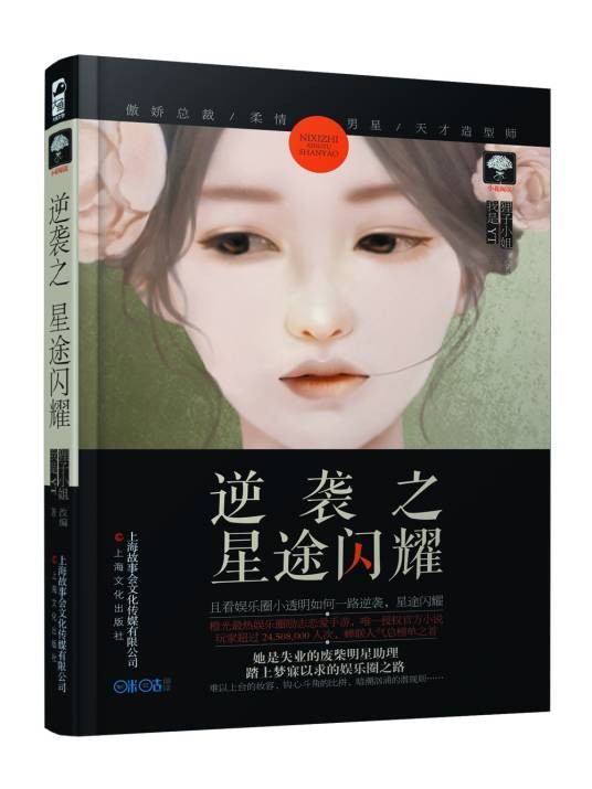 逆袭之星途闪耀（2016年上海文化出版社出版的图书）