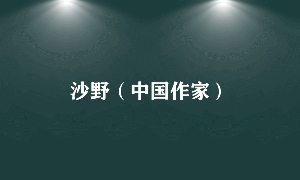 沙野（中国作家）