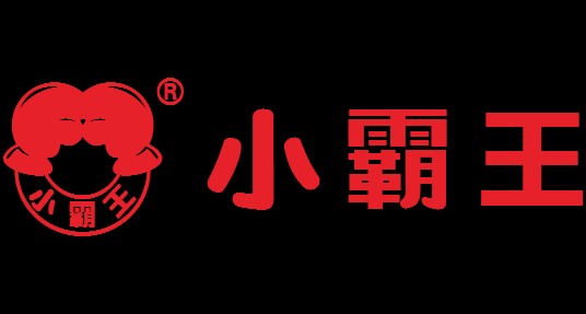 小霸王（公司名称）