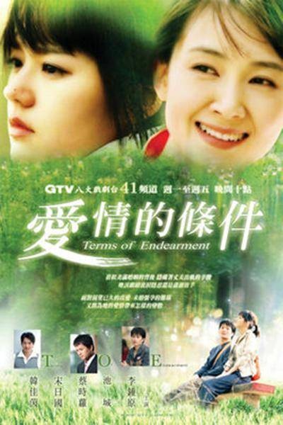 爱情的条件（韩国2004年金宗昌执导的爱情电视剧）