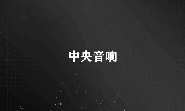 中央音响