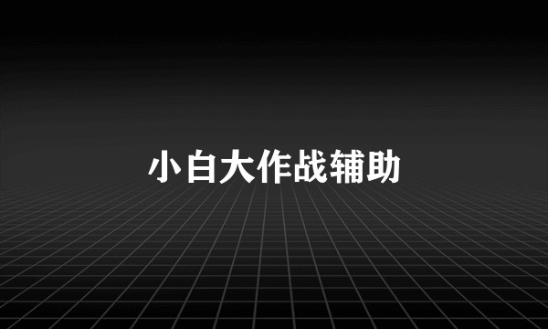 小白大作战辅助
