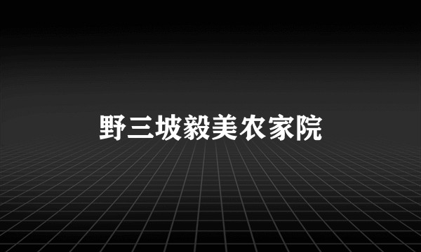 野三坡毅美农家院