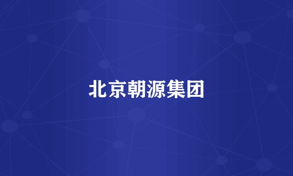 北京朝源集团