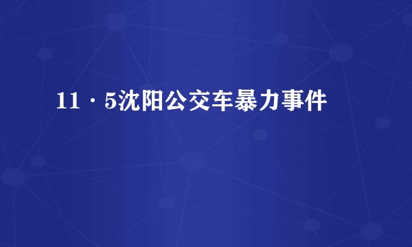 11·5沈阳公交车暴力事件
