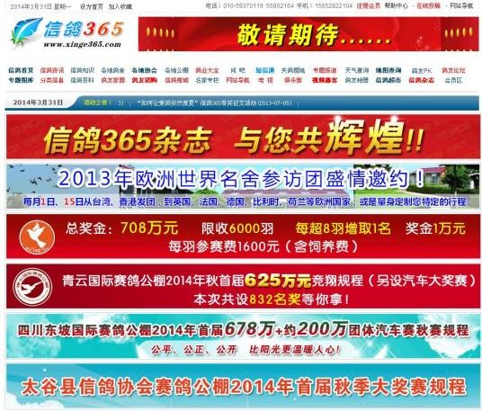 信鸽信息网