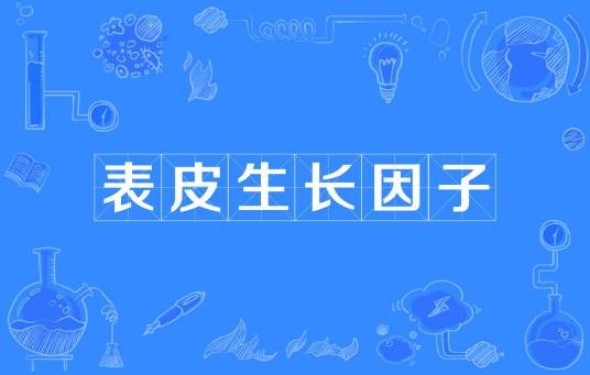 表皮生长因子