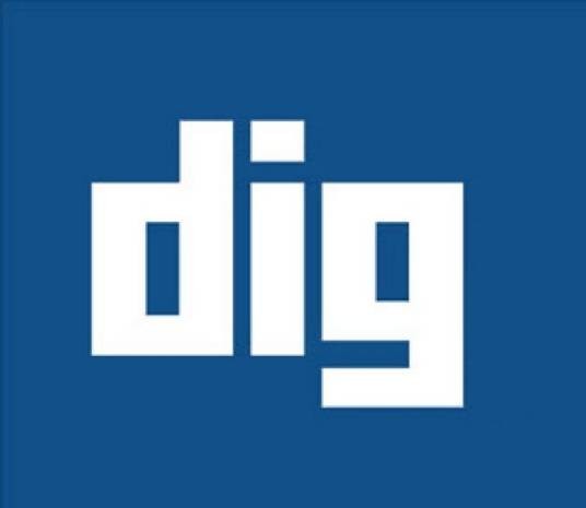 dig（英语单词）
