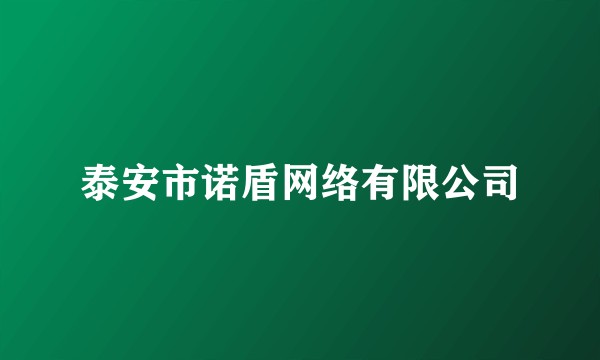 泰安市诺盾网络有限公司