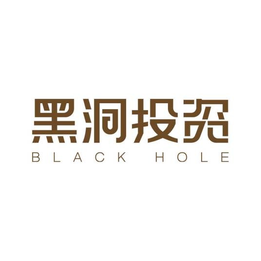 广州黑洞投资有限公司