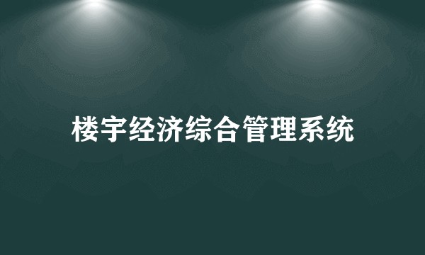 楼宇经济综合管理系统