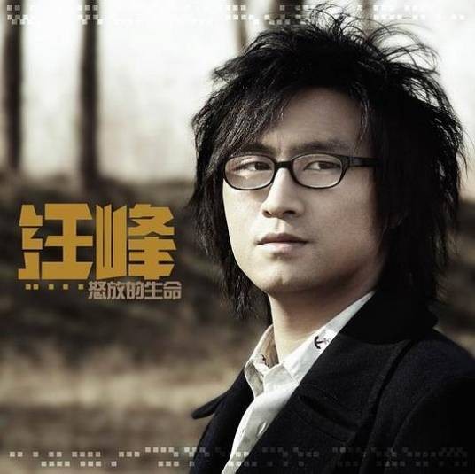 我爱你中国(2005年汪峰演唱的歌曲)