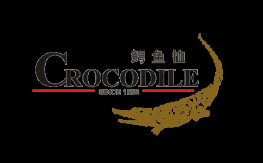 鳄鱼恤皮鞋