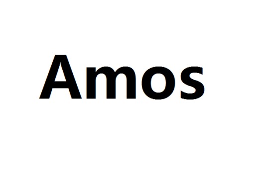 Amos（英语）