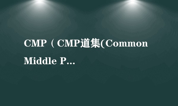 CMP（CMP道集(Common Middle Point)）